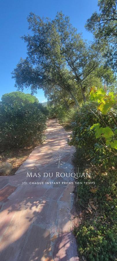 Le Mas Du Rouquan วิโดบ็อง ภายนอก รูปภาพ