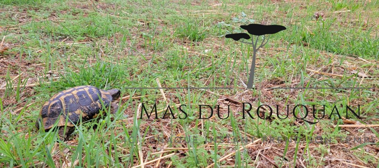 Le Mas Du Rouquan วิโดบ็อง ภายนอก รูปภาพ